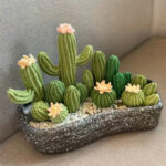 Suggest Product Thumbnail